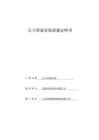 压力管道系统表格74