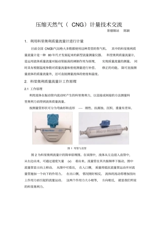 压缩天然气CNG计量技术交流