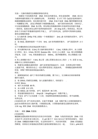 原核表达及抗体的制备重点讲义资料