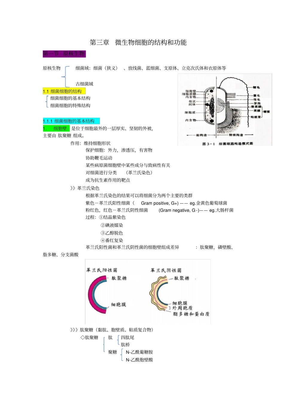 原核生物知识点整理_第1页