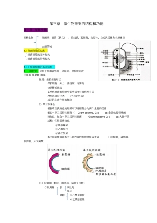 原核生物知识点整理
