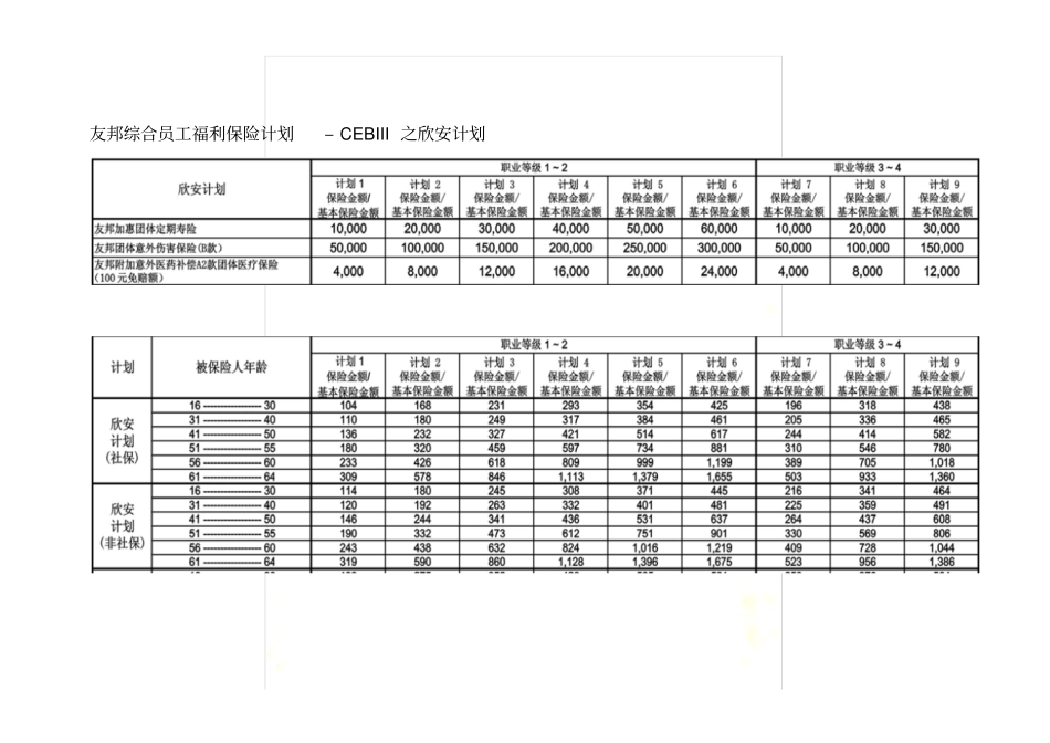 友邦综合员工福利保险计划_第3页