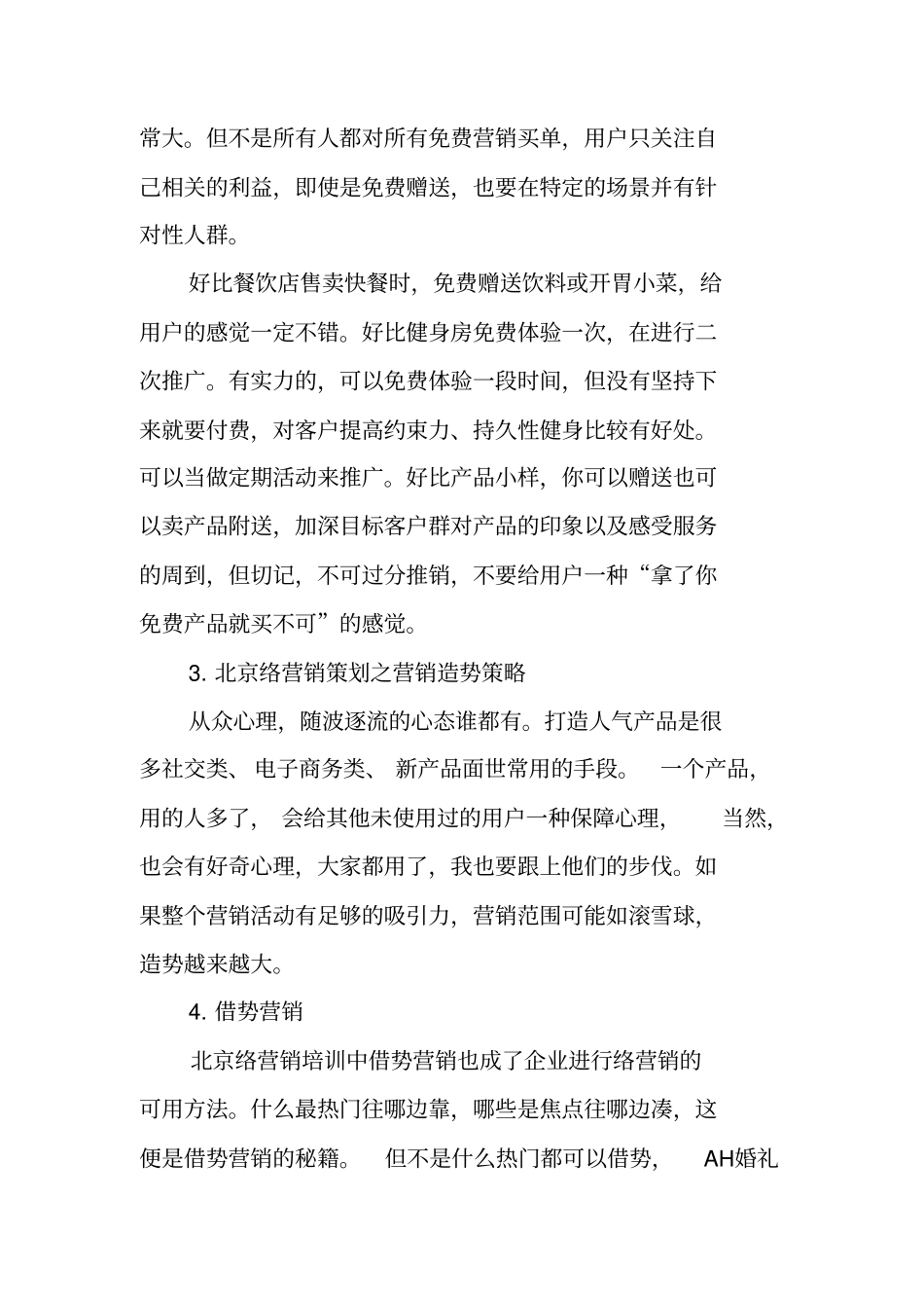 双十一网络营销策划书_第2页