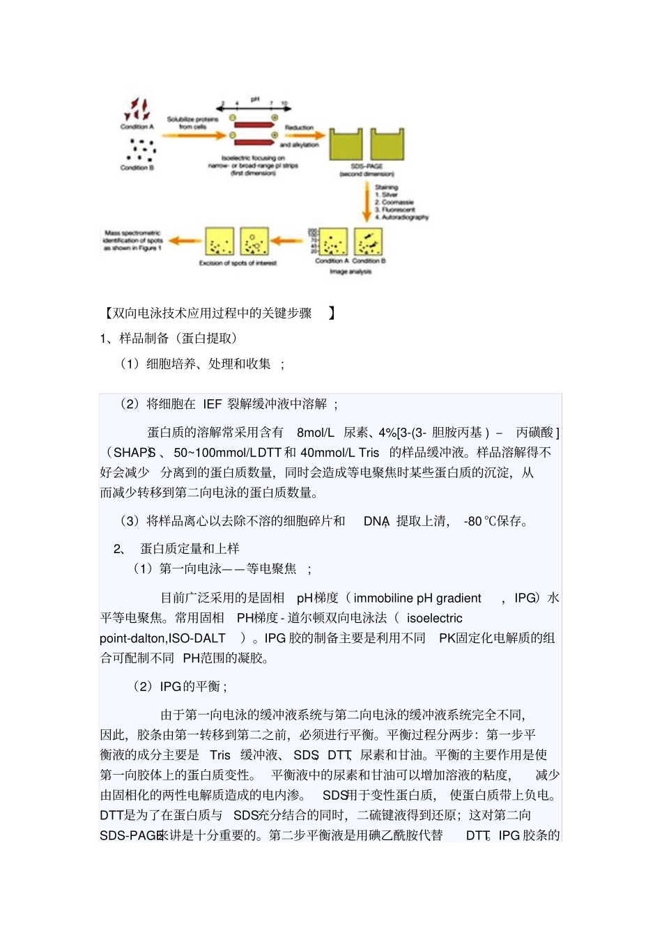 双向凝胶电泳技术原理与应用_第3页