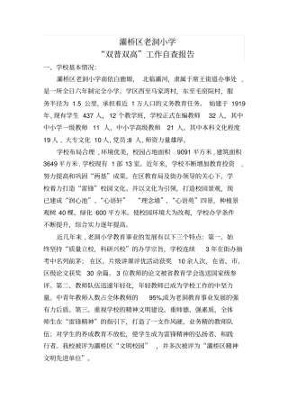双普双高自查报告x