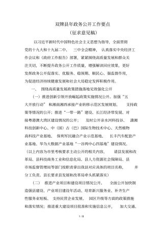 双牌2019年政务公开工作要点