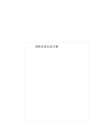 双软企业认定方案