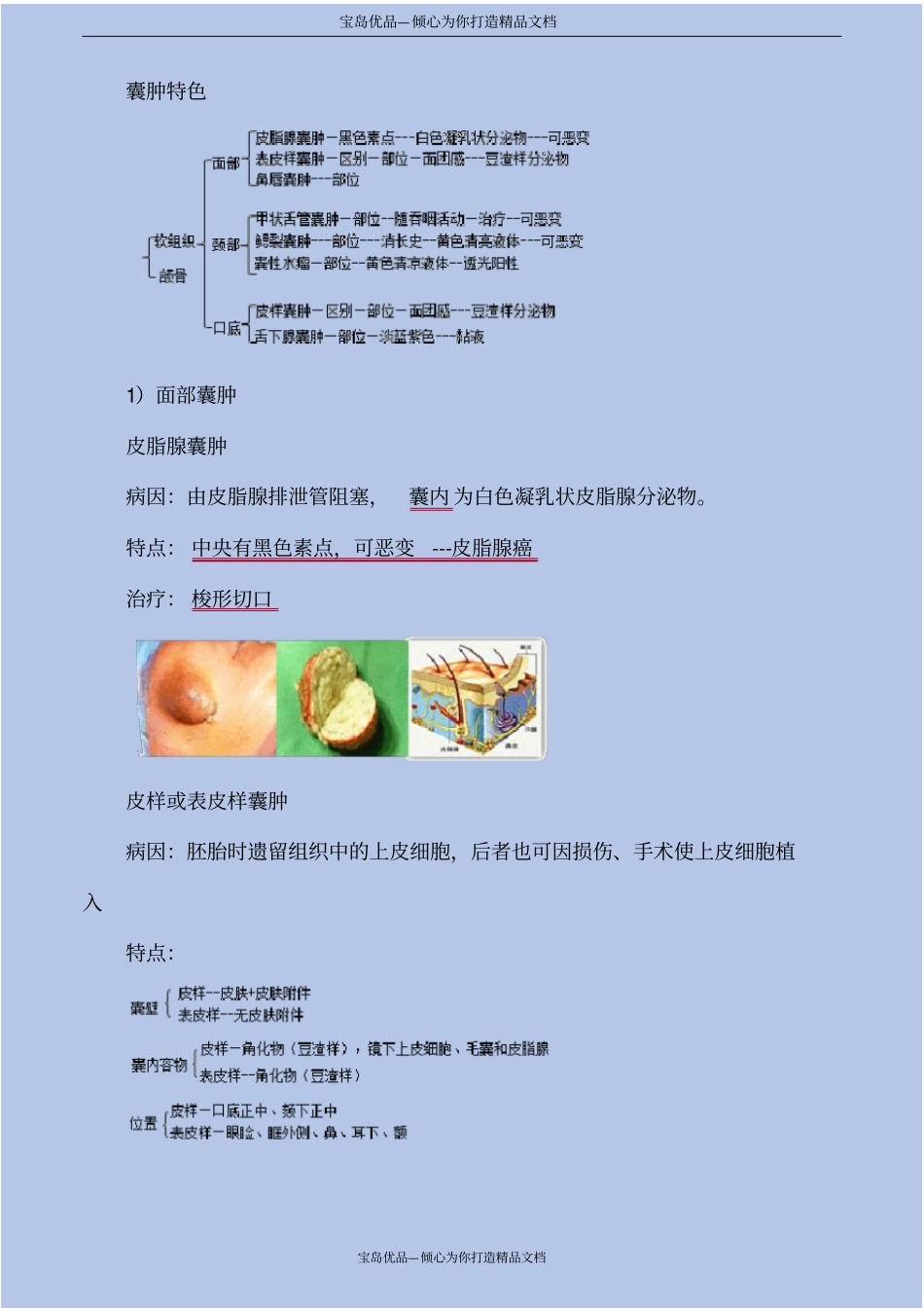口腔外科学——口腔颌面部良性肿瘤及瘤样病变_第3页
