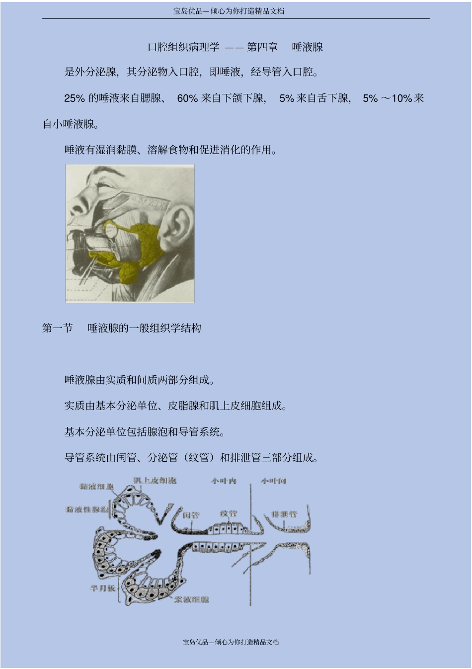 口腔组织病理学—唾液腺_第2页