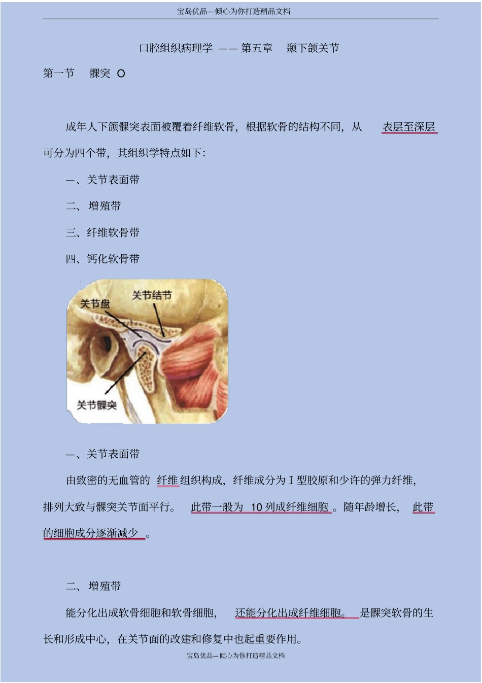 口腔组织病理学—颞下颌关节_第2页