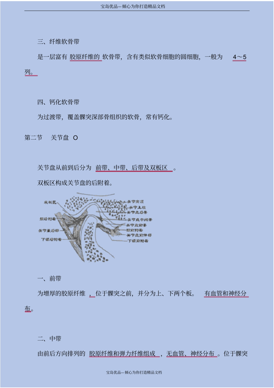 口腔组织病理学—颞下颌关节_第3页