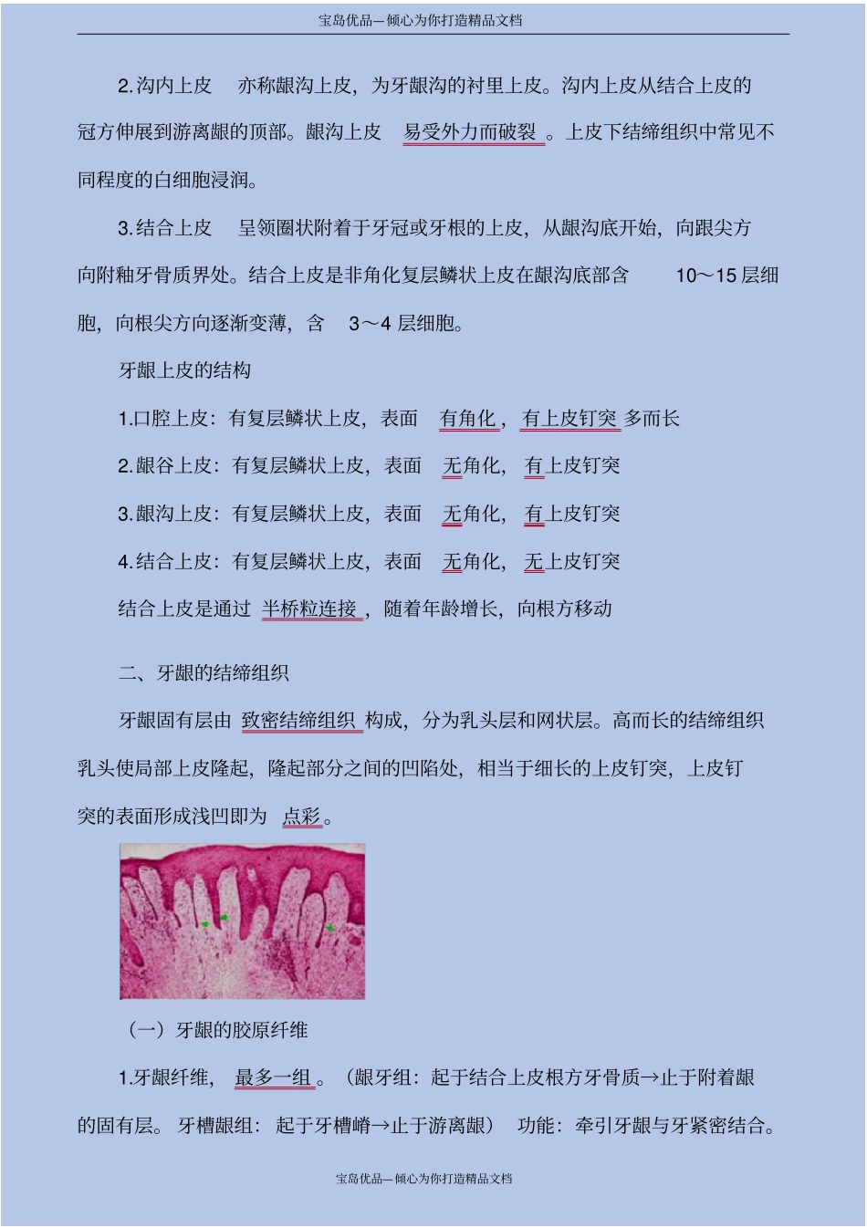 口腔组织病理学—牙周组织_第3页