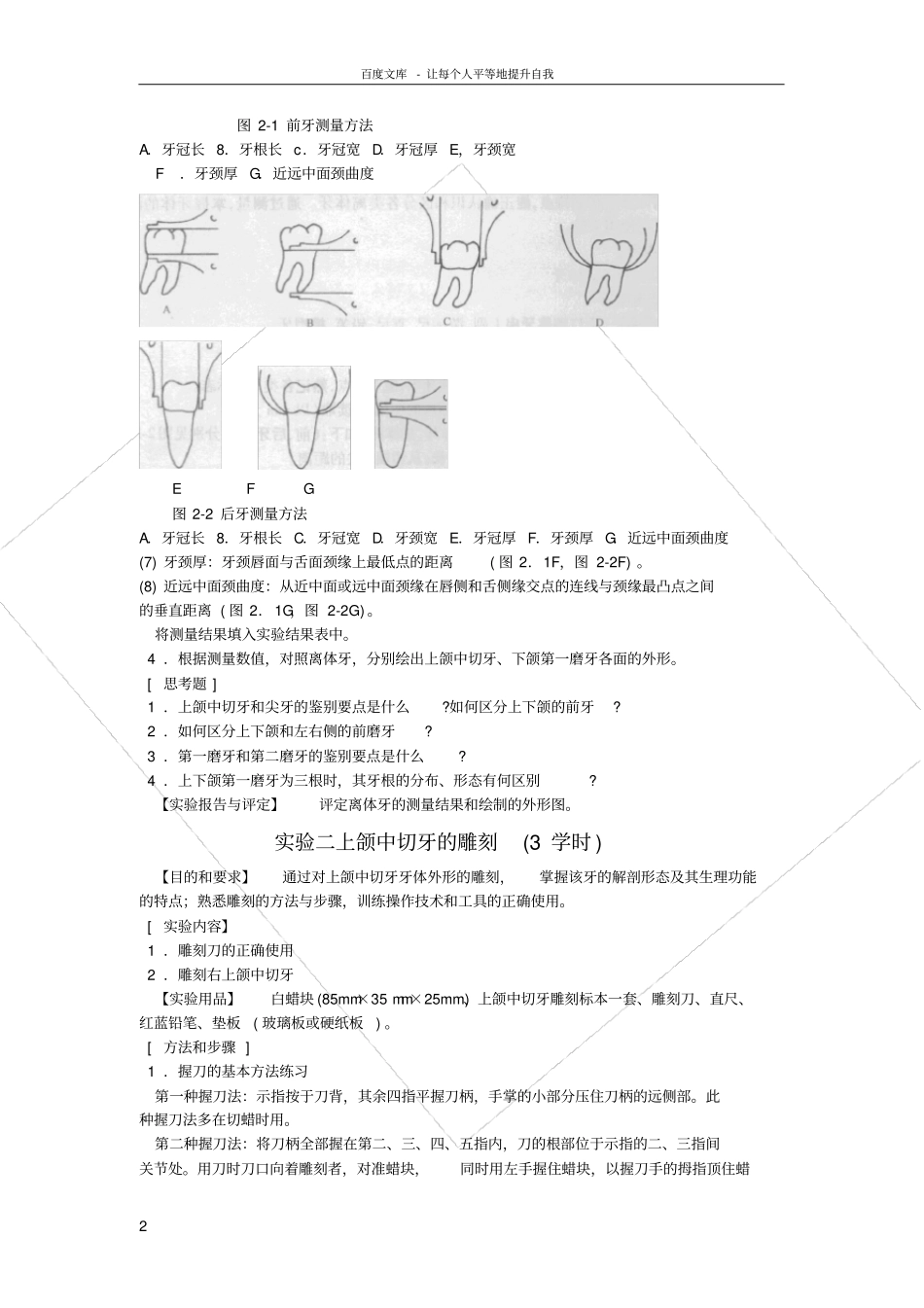 口腔解剖生理学试验指导_第2页
