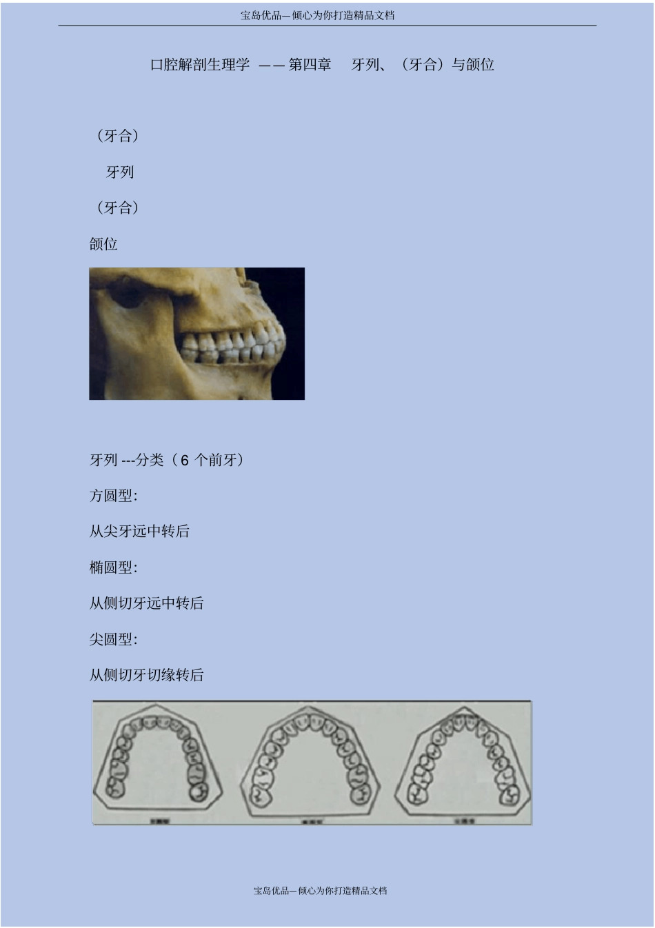 口腔解剖生理学—牙列、牙合与颌位_第2页
