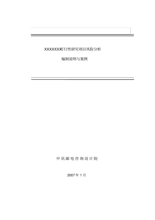 可研项目风险分析报告