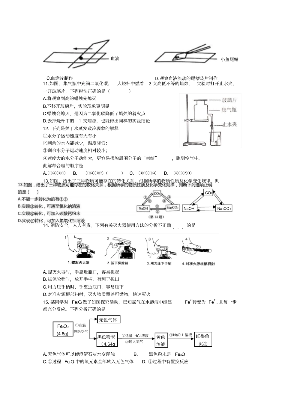 台州中考科学试卷2019_第2页