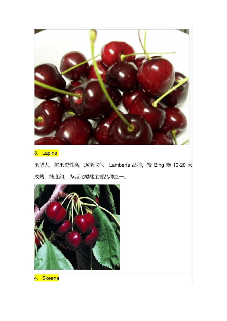 史上最全的美国车厘子大全!_第3页