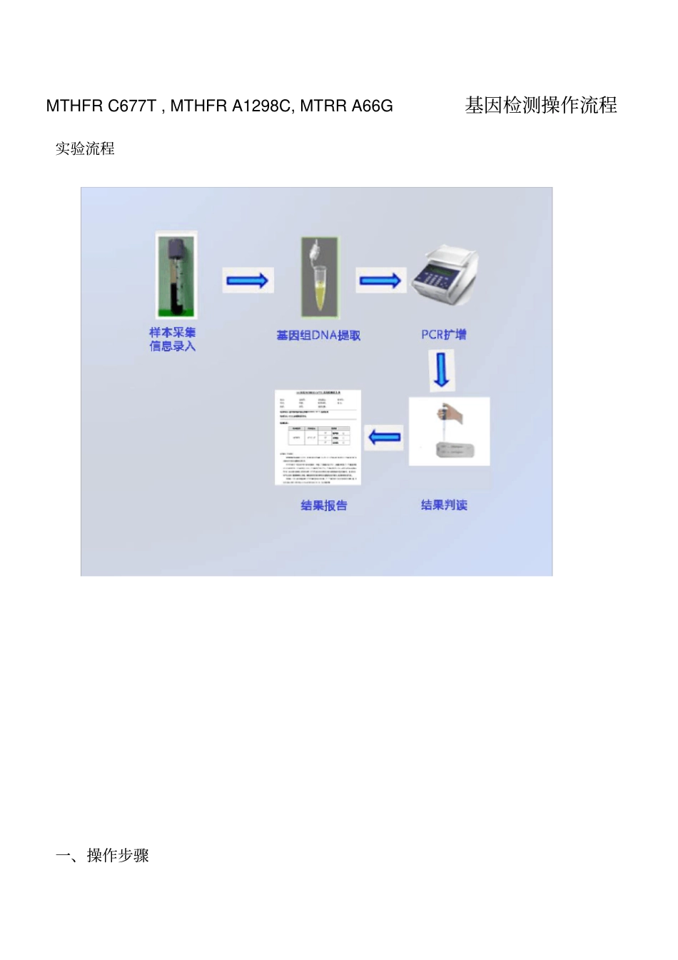 叶酸代谢能力基因检测操作流程_第1页
