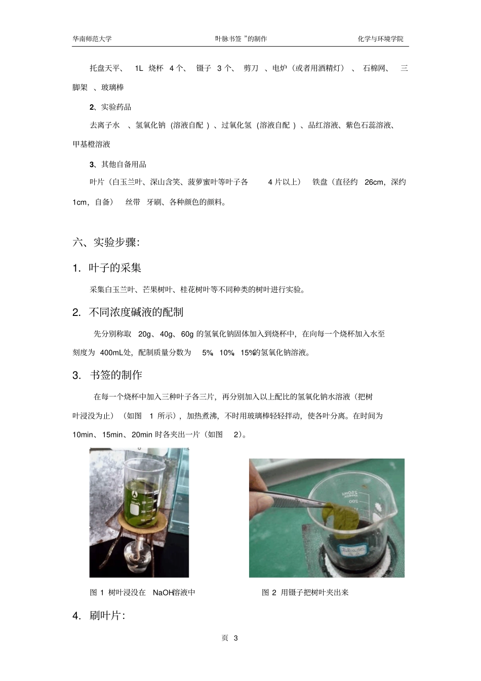 叶脉书签的制作探究性试验设计试验报告讲解_第3页