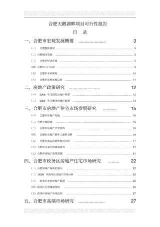 合肥天鹅湖畔地块项目可行性研究报告