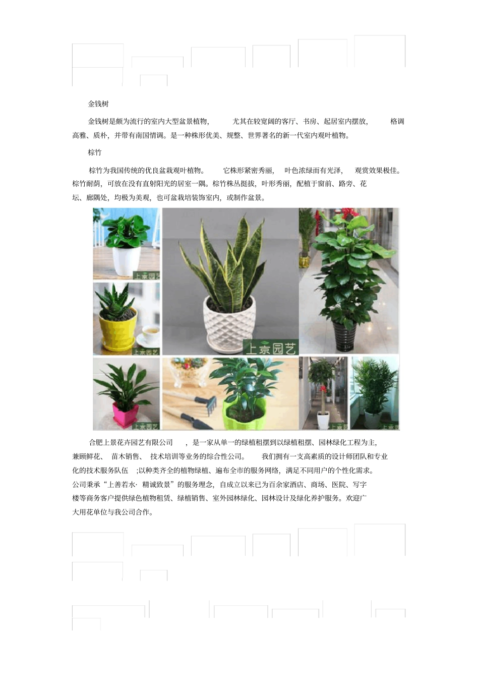 合肥绿植租摆公司_第2页