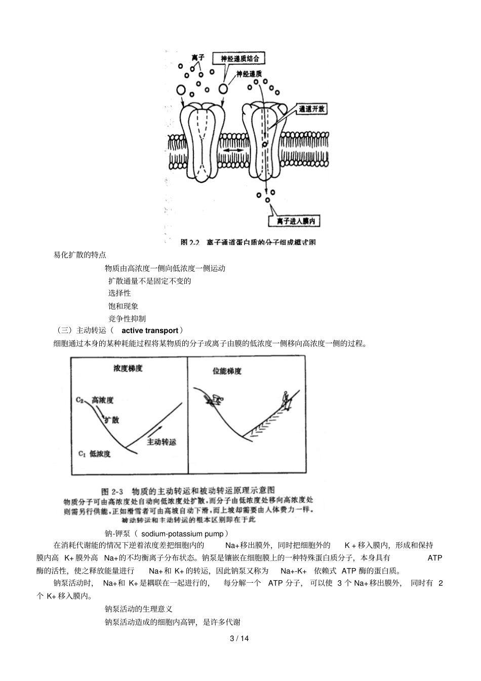 吉大生理学含试验课程课堂笔记_第3页