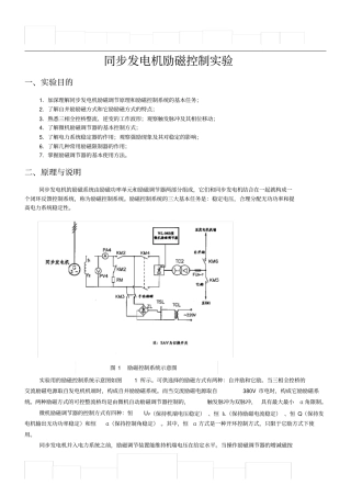 同步发电机励磁控制试验