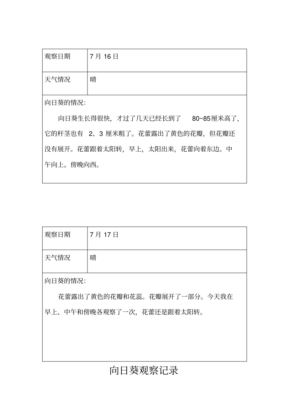 向日葵观察记录_第3页
