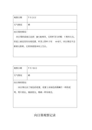 向日葵观察记录