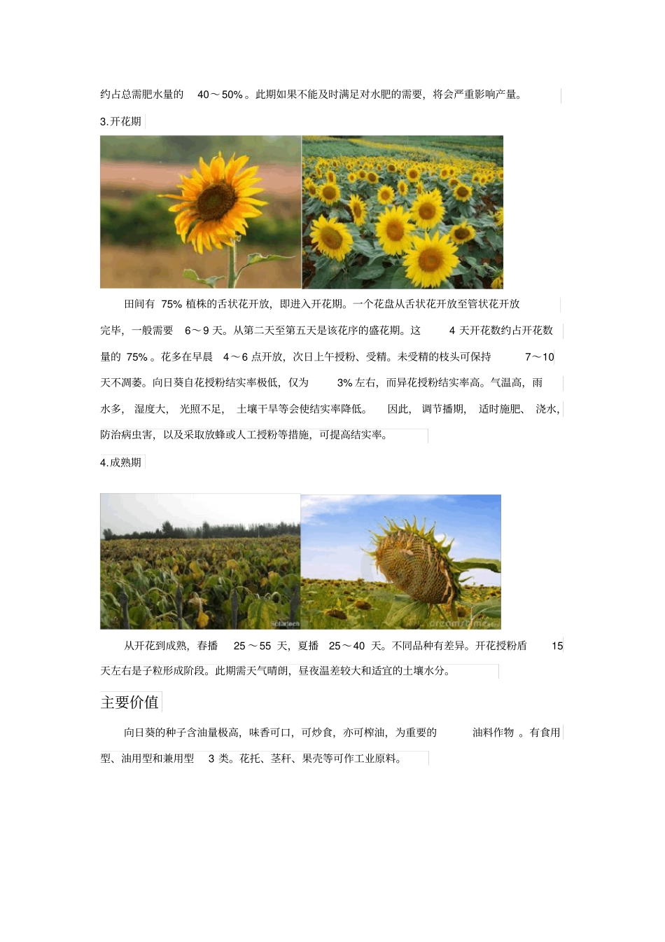 向日葵的生长过程图解及其培育方法_第2页