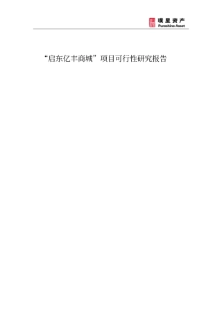 启东亿丰商城项目可行性研究报告