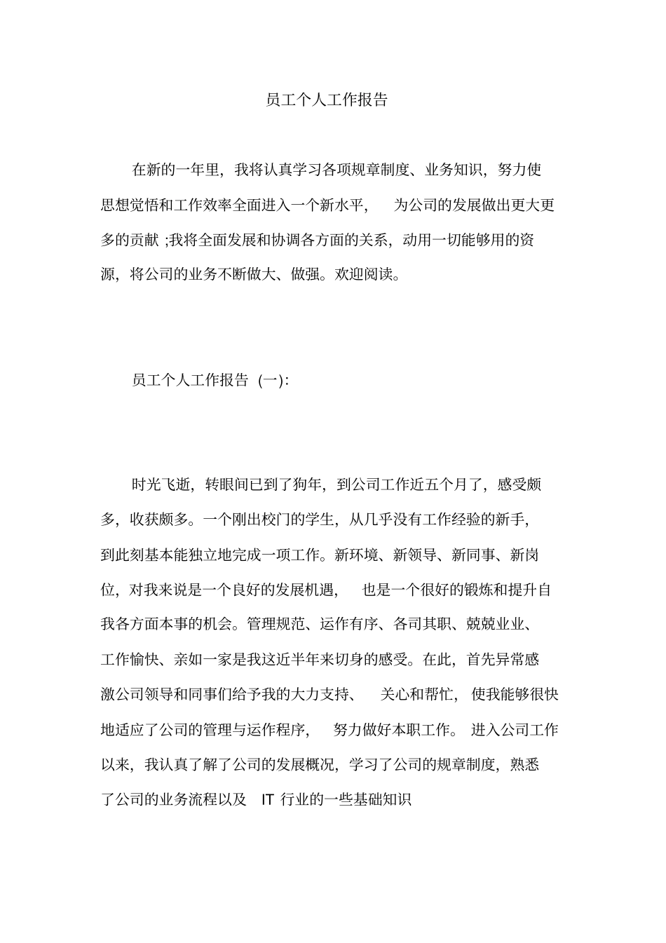 员工个人工作报告_第1页