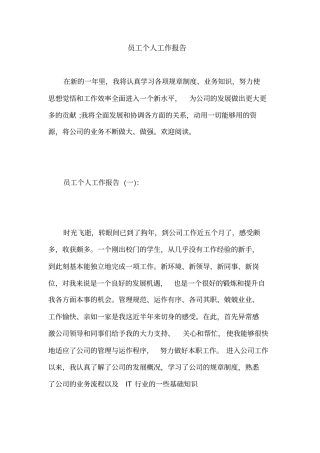 员工个人工作报告