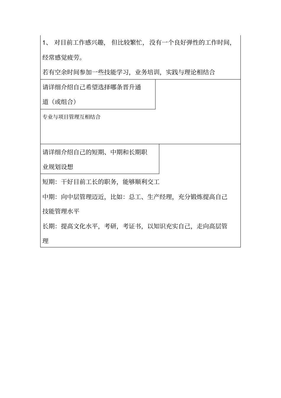 员工职业生涯规划表_第3页