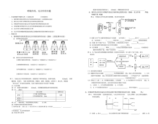 呼吸作用光合作用专题