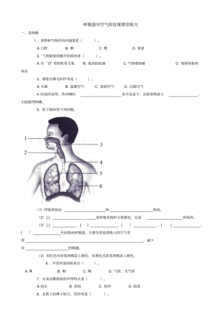 呼吸道对空气的处理-课堂练习