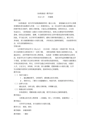 命系悬壶教学设计