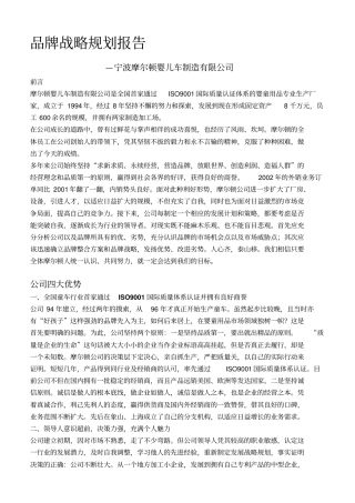 品牌战略规划报告样本