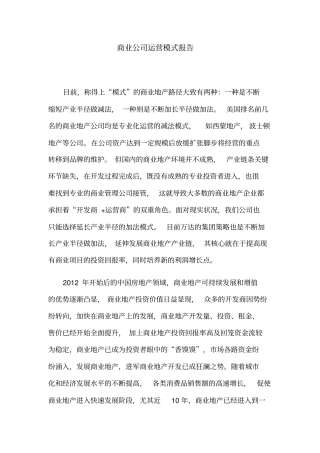 商业公司运营模式解析