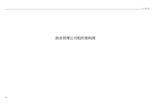 商业管理公司组织架构