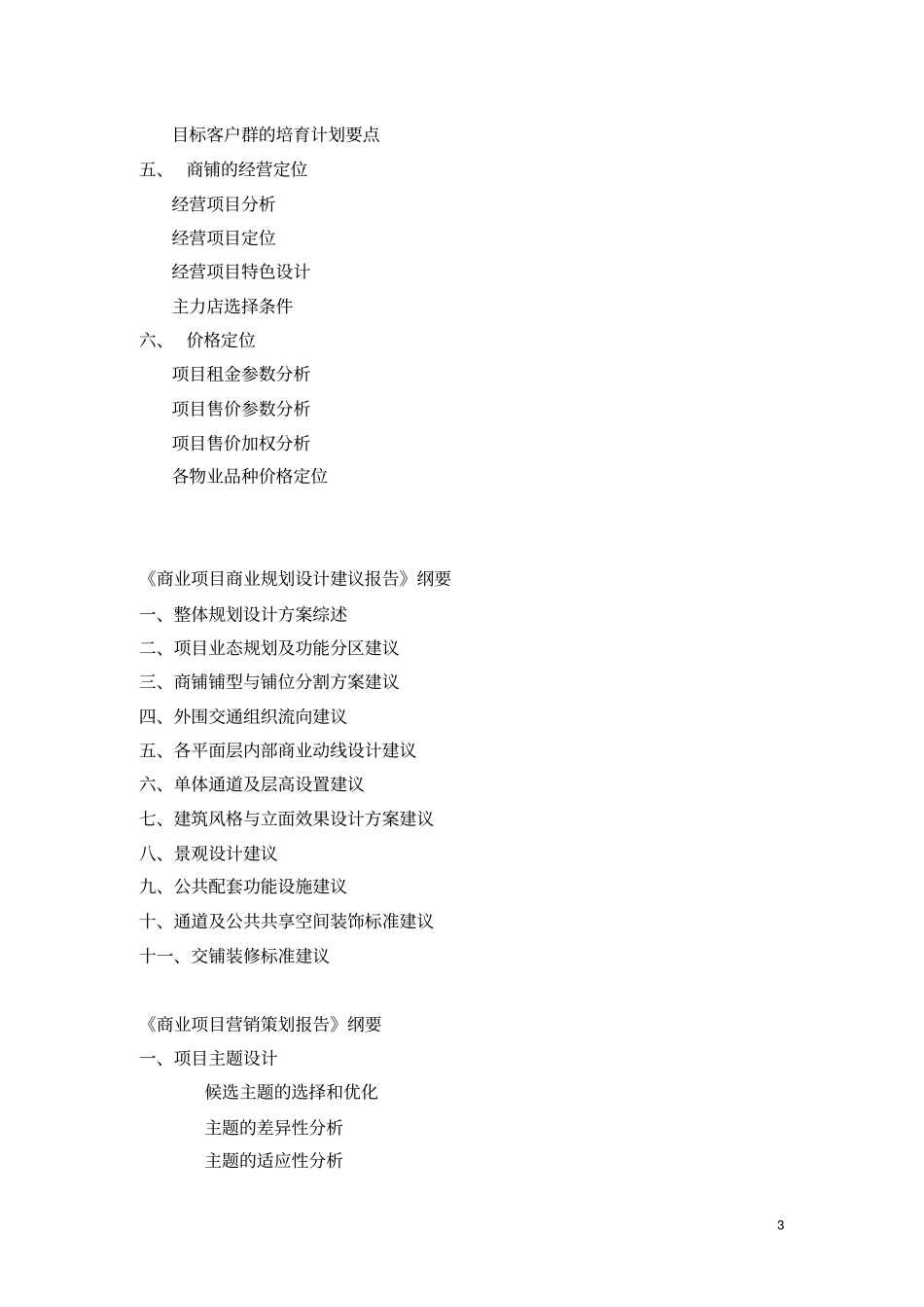 商业综合体项目各阶段策划_第3页