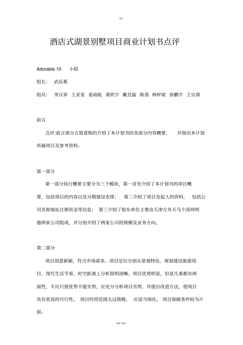 商业计划书点评_第1页