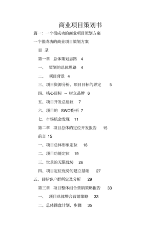 商业项目策划书