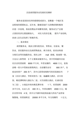 商贸服务业发展调研
