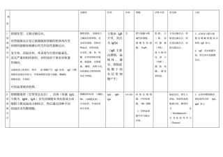 四型超敏反应总结