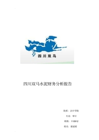 四川双马水泥有限公司财务分析