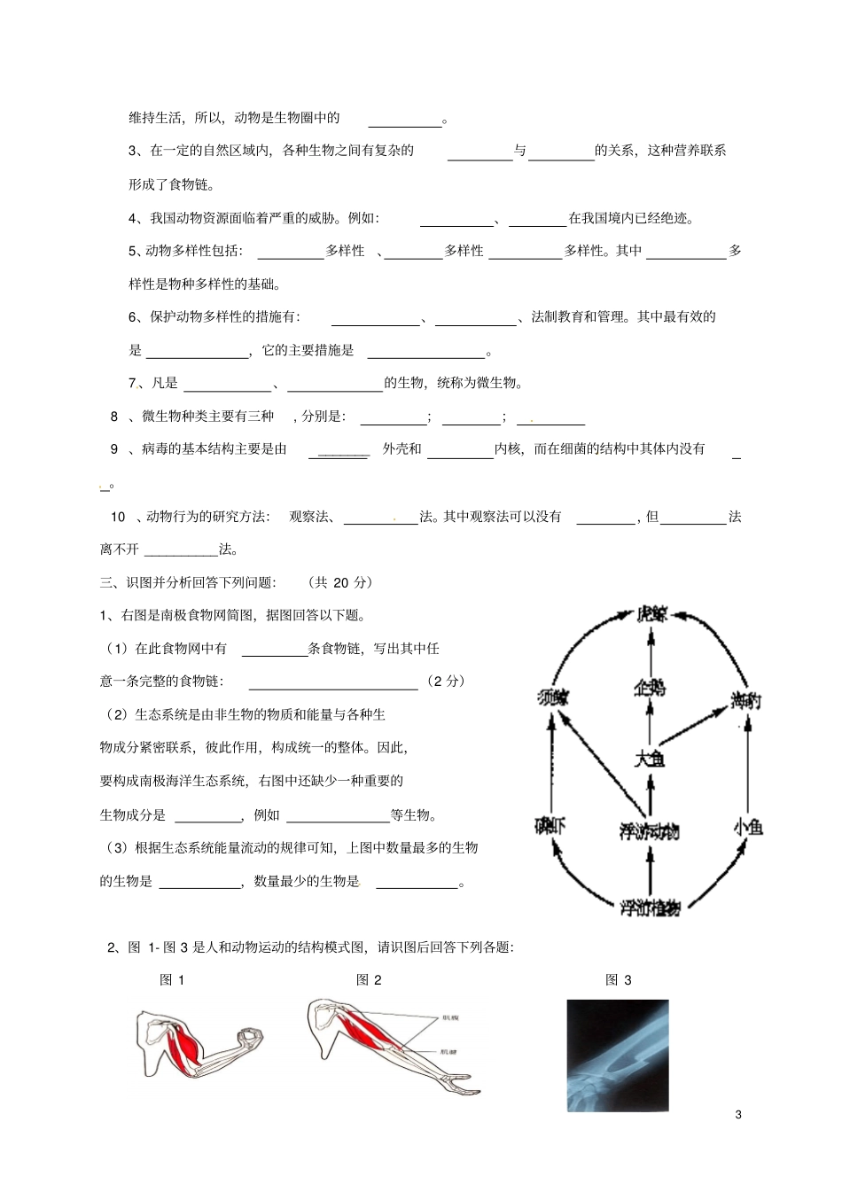 四川成都七中试验学校2017-2018学年八年级生物上学期期中试题新人教版_第3页