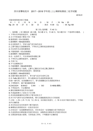 四川攀枝花2017～2018学年上调研检测高二化学试题版