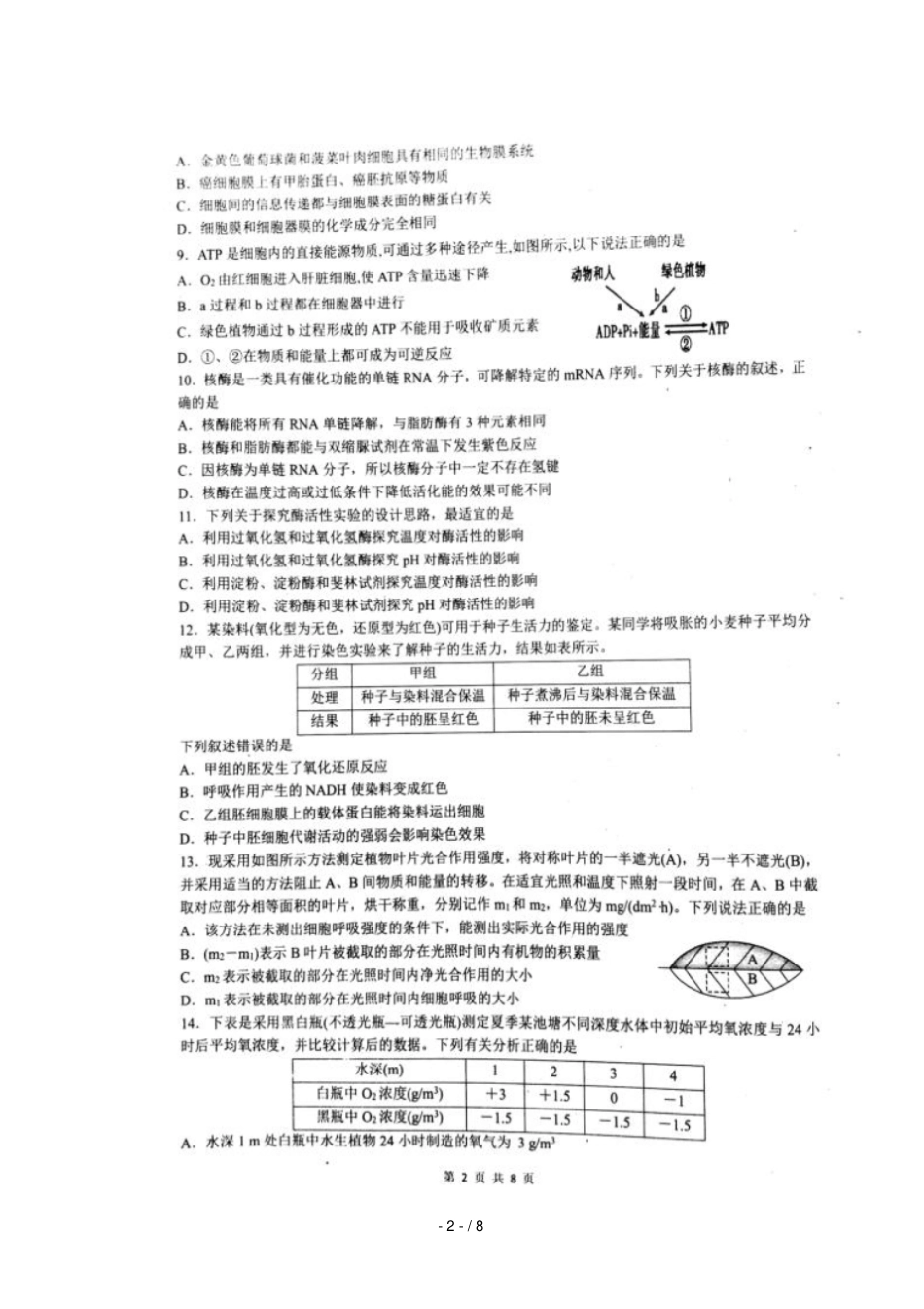 四川绵阳南山中学2018_2019学年高二生物下学期期末模拟试题_第2页