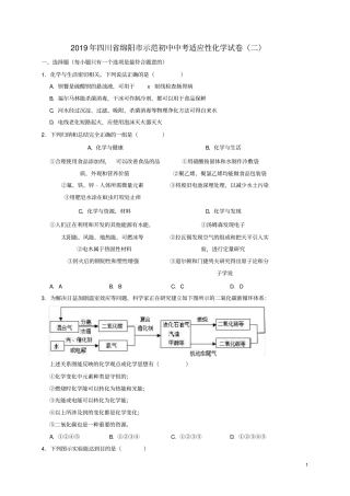 四川绵阳示范初中2019年中考化学适应性试卷二解析版